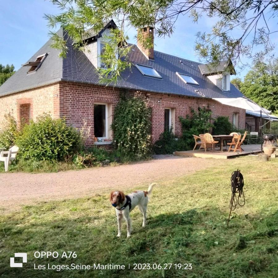 Une Chambre Dans La Verdure Bordeaux-Saint-Clair Eksteriør bilde